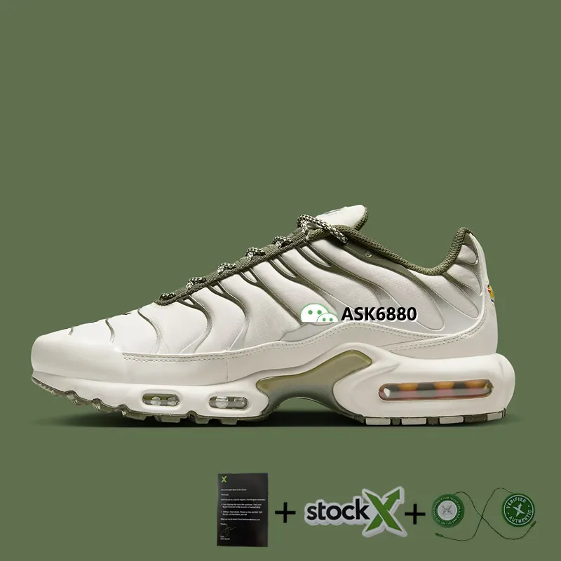 TN BARCELONA (1:1) - Image 2